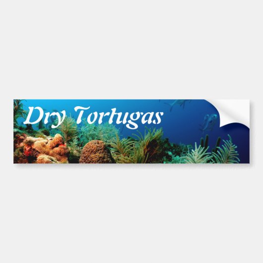 Koraalrif, Nationaal Park Dry Tortugas, Florida Bumpersticker (Voorkant)