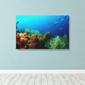 Koraalrif, Nationaal Park Dry Tortugas, Florida Canvas Afdruk (Insitu (Houten vloer))