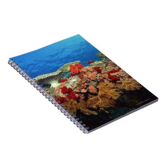 Koraalrif Notitieboek (Rechterzijde)