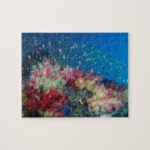 Koraalrif onder water, Indonesië Legpuzzel (Horizontaal)