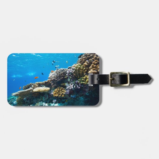 Koraalrif onderwater bagagelabel (Voorkant horizontaal)