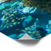 Koraalrif onderwater poster (Hoek)