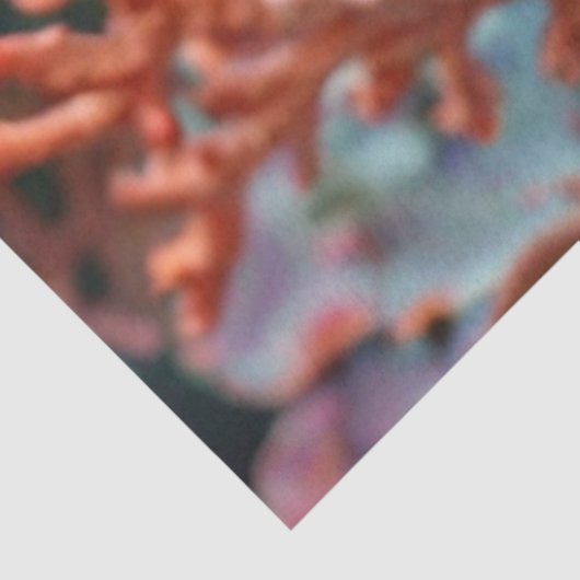 Koraalrif ontkoppeling tissuepapier (Detail)