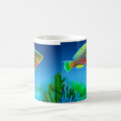 Koraalrif parrotfish Mok (Center)