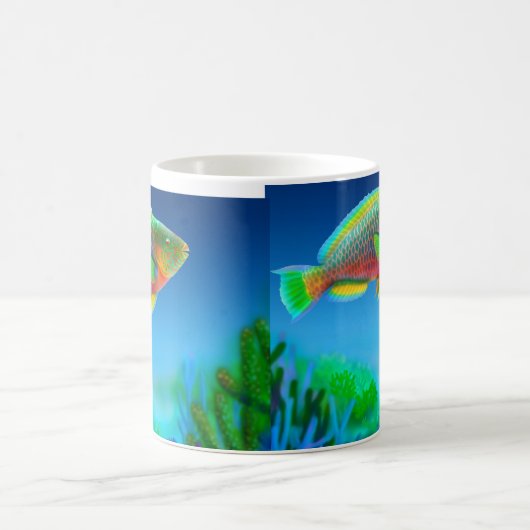 Koraalrif parrotfish Mok (Center)