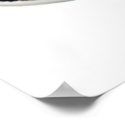 Koraalrif Percula Clownfish Poster (Hoek)