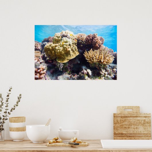 Koraalrif Poster (Keuken)