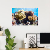 Koraalrif Poster (Thuiskantoor)