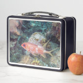 Koraalrif reef langwerpvis vierkant (In situ)