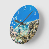 Koraalrif Ronde Klok (Hoek)