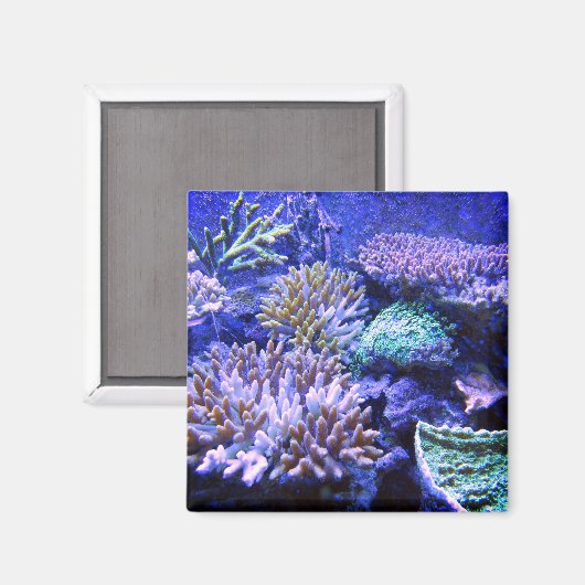 Koraalrif tropisch Caribisch blauw paarse roze Magneet (Voorkant / Achterkant)