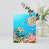 Koraalrif Turtle Naturescape Briefkaart (Staand voorkant)