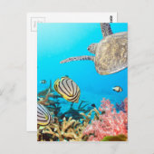 Koraalrif Turtle Naturescape Briefkaart (Voorkant / Achterkant)