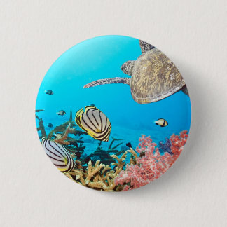 Koraalrif Turtle Naturescape Ronde Button 5,7 Cm
