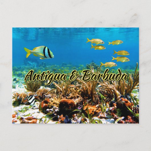 Koraalrif van Antigua en Barbuda Briefkaart (Voorkant)