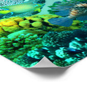 Koraalrif van Mermaid Poster (Hoek)