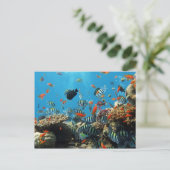 Koraalrif vis Naturescape Briefkaart (Staand voorkant)