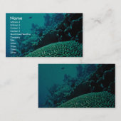 Koraalrif Visitekaartje (Voorkant / Achterkant)