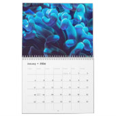 Koraalrif voor duikexploratie onder water kalender (Jan 2026)