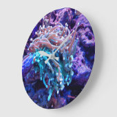 Koraalrif zee-koepelklok grote klok (Hoek)