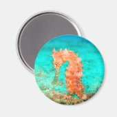 Koraalrif, zeepaard tropische oceaan magneet (Voorkant / Achterkant)