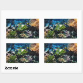 Koraalriffen stickers (Vel)