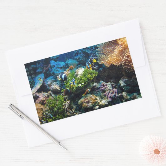 Koraalriffen stickers (Envelop)