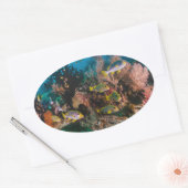 Koraalriffen stickers (Envelop)