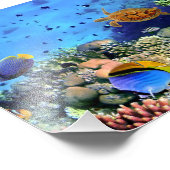 Koraalriffen voor kleurstoffen foto afdruk (Hoek)