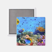 Koraalriffen voor kleurstoffen magneet (Voorkant / Achterkant)