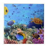 Koraalriffen voor kleurstoffen tegeltje (Voorkant)