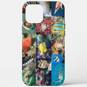 Koraalrifvissen Dieren Marien Leven Wetenschappers Case-Mate iPhone Case