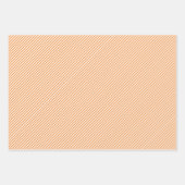 Koraalrood Blush Roze Mint Blauwe Groene Ornamente Inpakpapier Vel (Voorkant 3)