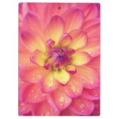 Koraalroze dahlia bloem klembord (Achterkant)
