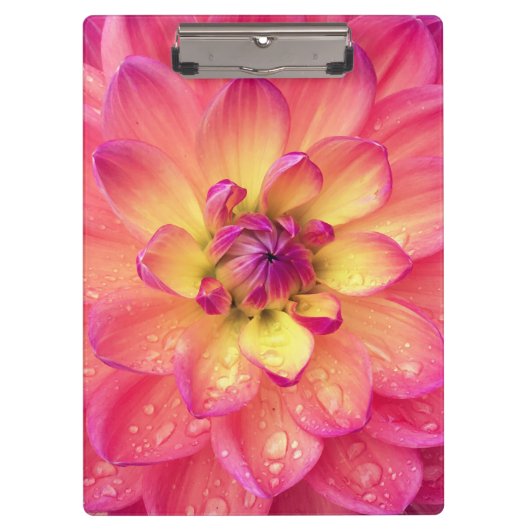 Koraalroze dahlia bloem klembord (Voorkant)