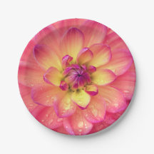 Koraalroze dahlia bloem papieren bord