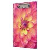 Koraalroze dahlia klembord (Links)