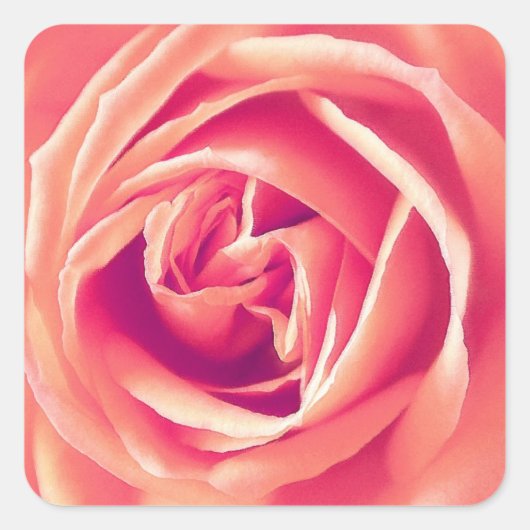 Koraalroze roze druk vierkante sticker (Voorkant)