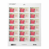 Koraalroze tuin Tulip Etiket (Full Sheet)