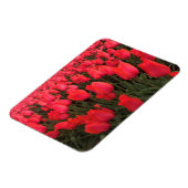 Koraalroze tulpen magneet (Linkerzijde)