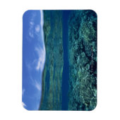 Koraalschelp Magneet (Verticaal)