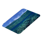 Koraalschelp Magneet (Linkerzijde)