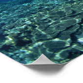 Koraalschelp Poster (Hoek)