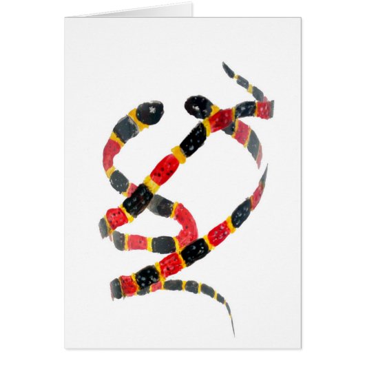 Koraalslangen hervullen (Voorkant)