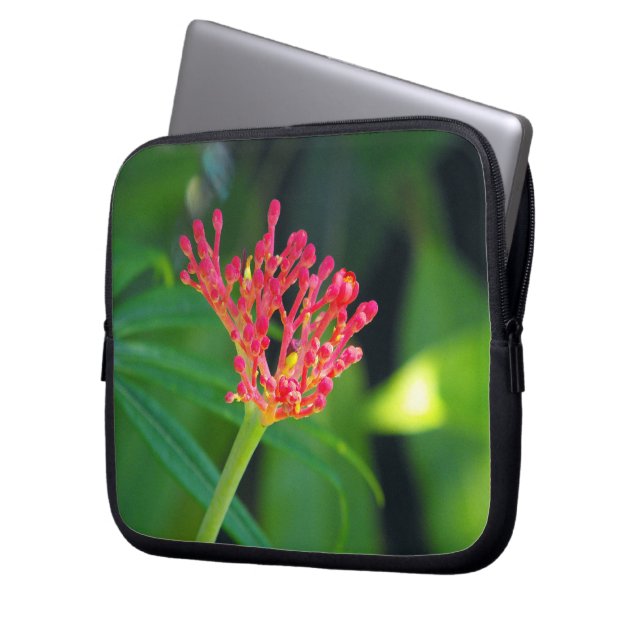 Koraalstruik in bloei laptop sleeve (Voorkant Links)