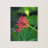 KoraalStruik in bloei Legpuzzel (Verticaal)