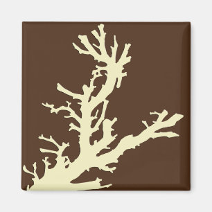 Koraaltak - cacaobruin en beige magneet