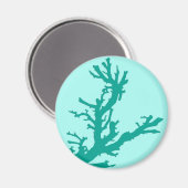 Koraaltak - turquoise en aqua magneet (Voorkant / Achterkant)