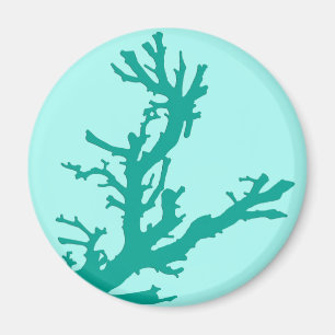 Koraaltak - turquoise en aqua magneet