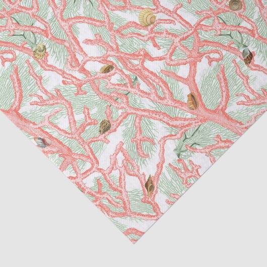 Koraaltakken met zeeshells tissuepapier (Detail)